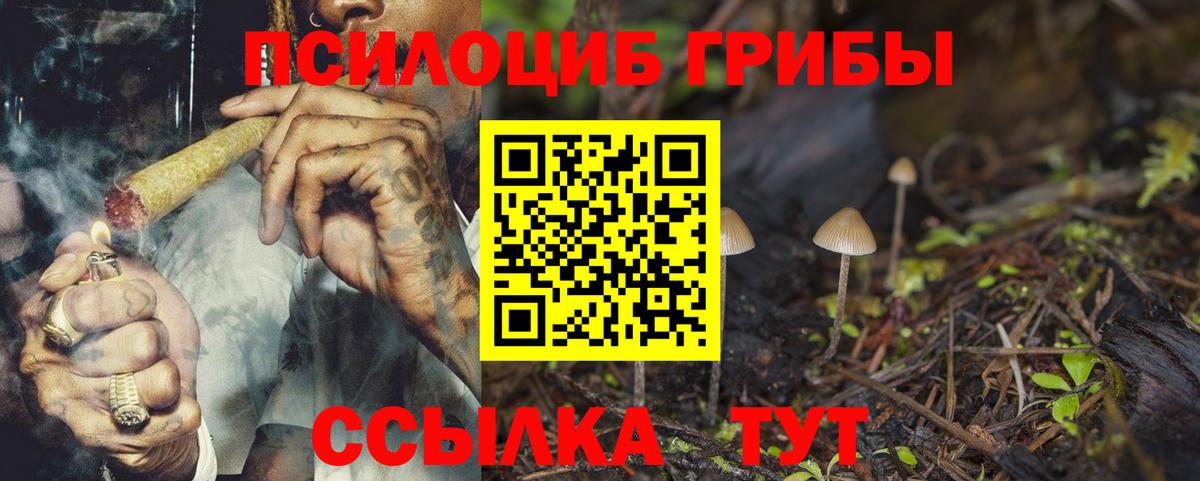 Галлюциногенные грибы мухоморы Люберцы