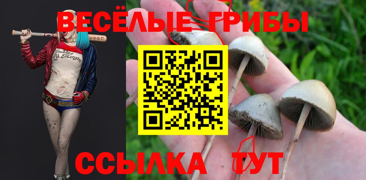 Люберцы  Псилоцибиновые грибы Psilocybine cubensis  Вход с VPN 